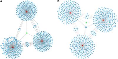 Expression profiling and functional analysis of circular RNAs in vitro model of intermittent hypoxia-induced liver injury